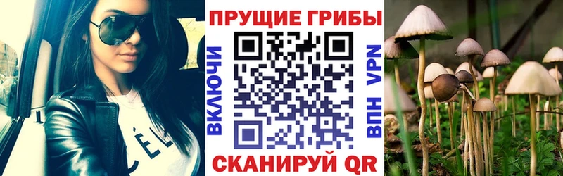 ОМГ ОМГ ссылка  Мурманск  Галлюциногенные грибы мицелий 
